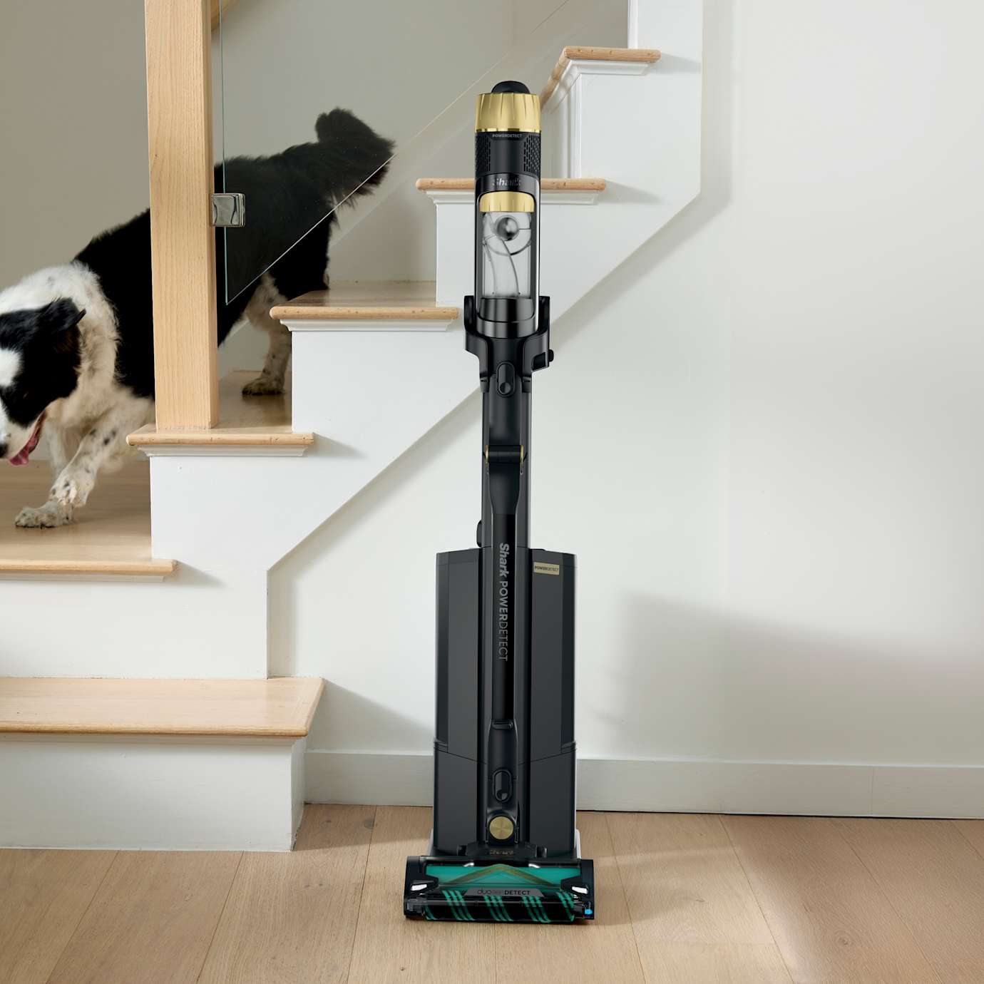 Shark-Ninja PowerDetect Reveal Cordless Vacuum Clean & Empty System - Image 10