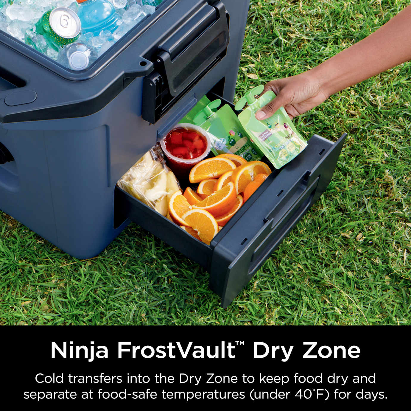 Shark-Ninja FrostVault 30qt Hard Cooler with Cold Dry Zone in Pink - Image 15