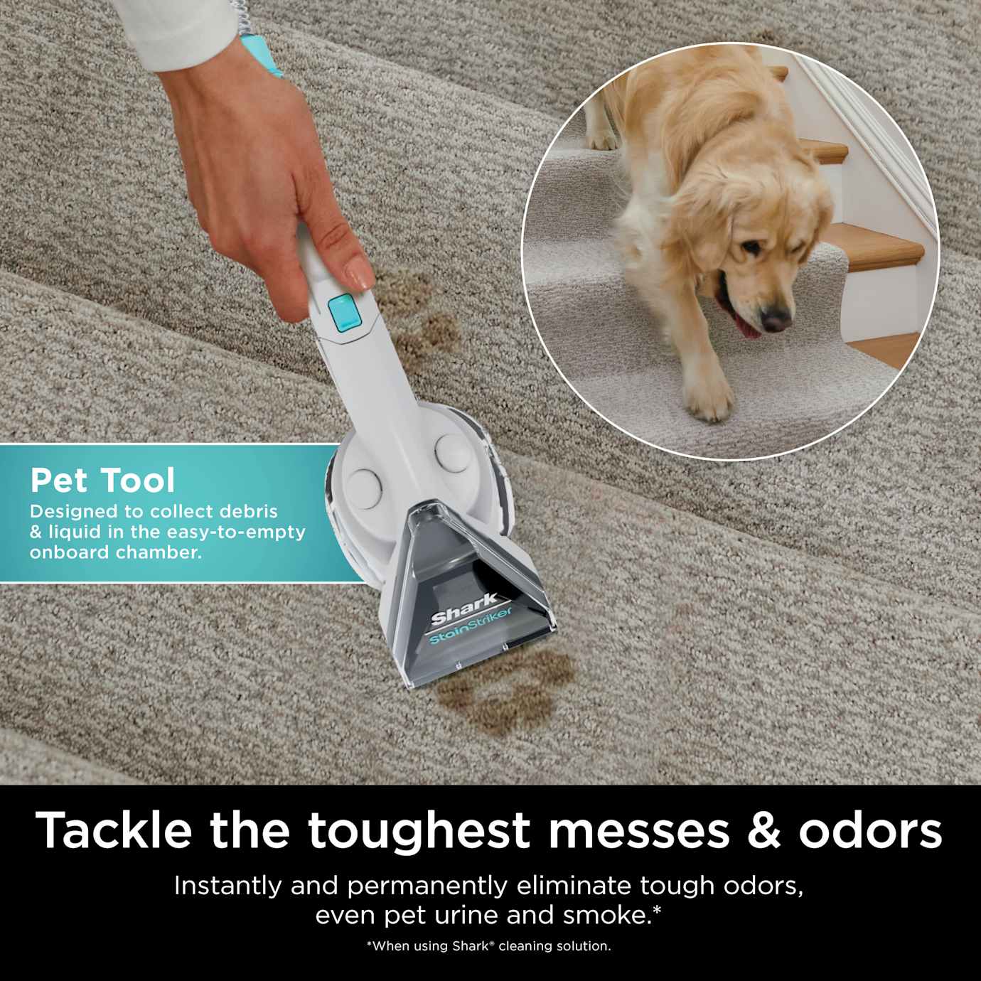 Shark StainStriker Portable Carpet and Furniture Cleaner - Image 4