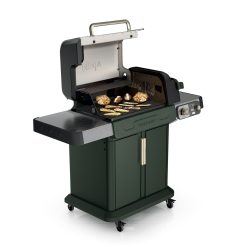 Alternative view of Ninja FlexFlame Grill and Smoker in Green