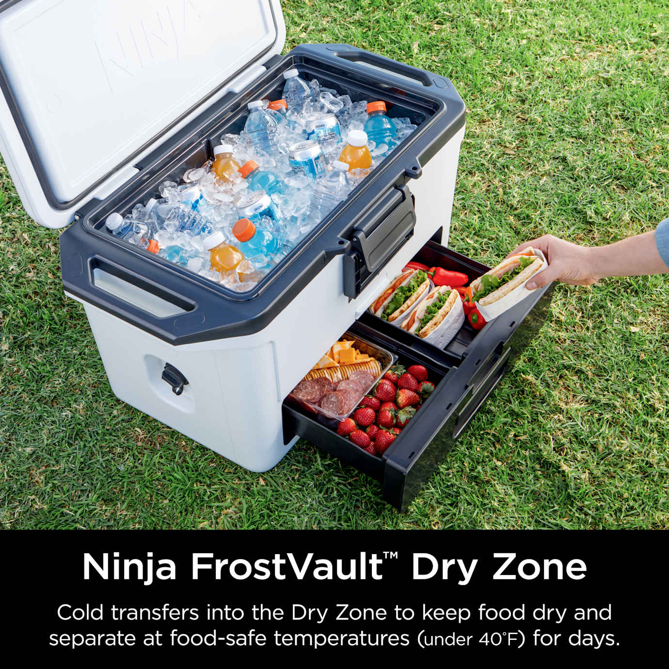 Ninja FrostVault 50qt Cooler in Cloud White - Image 3