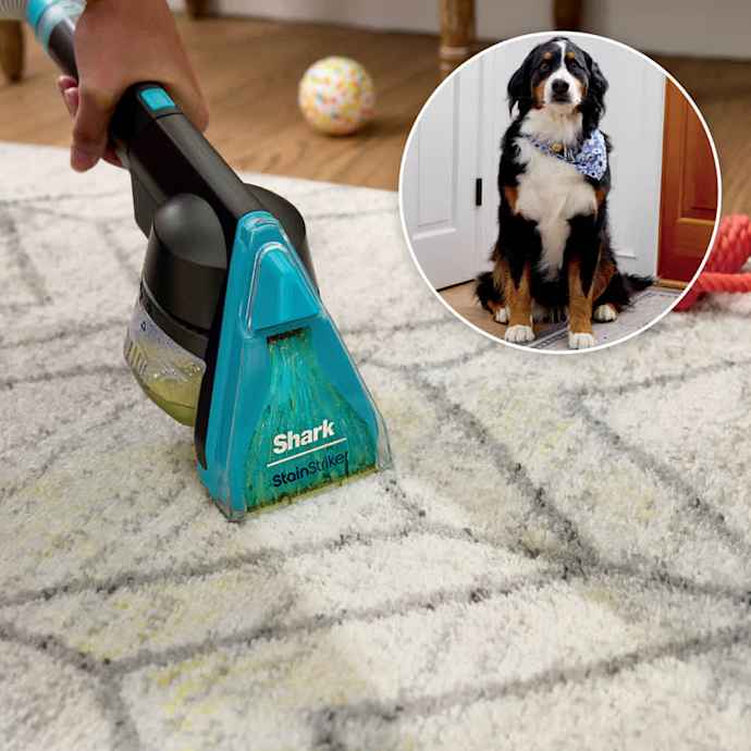 Shark-Ninja CarpetXpert HairPro Carpet Cleaner - Image 14