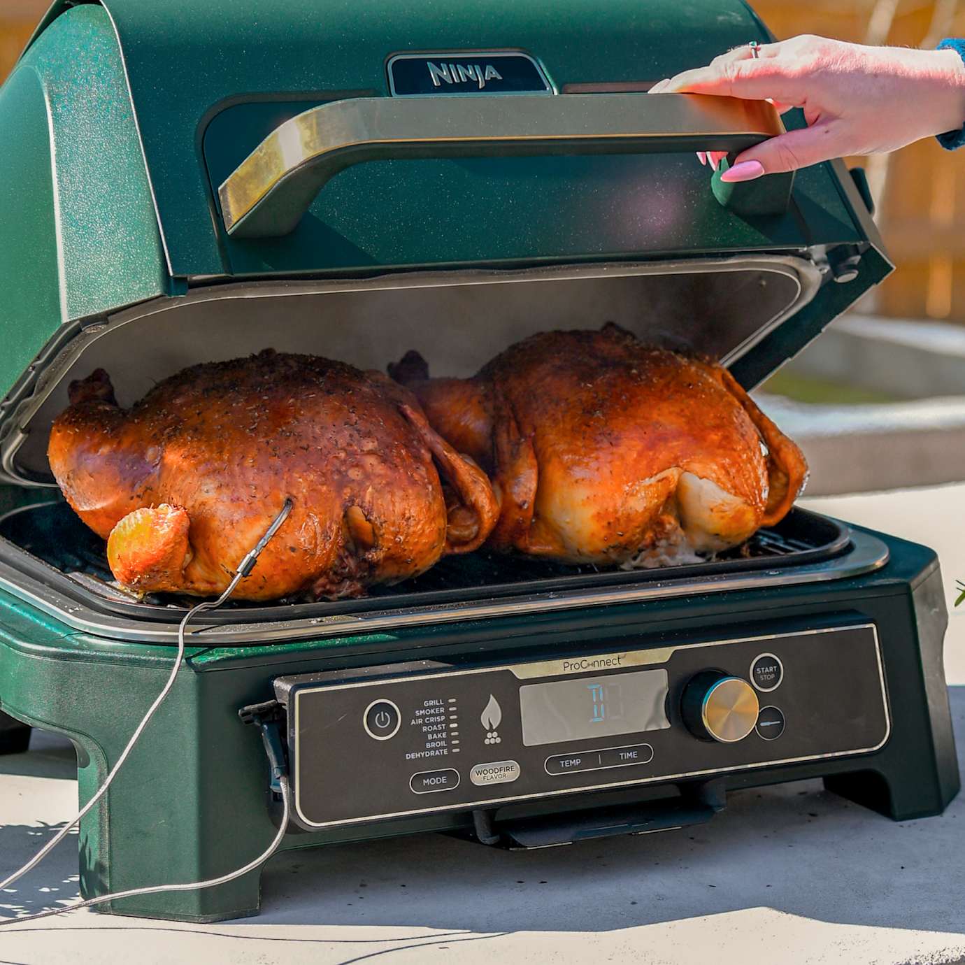 Ninja Woodfire Premium XL BBQ Grill in Green and Gold - Image 14