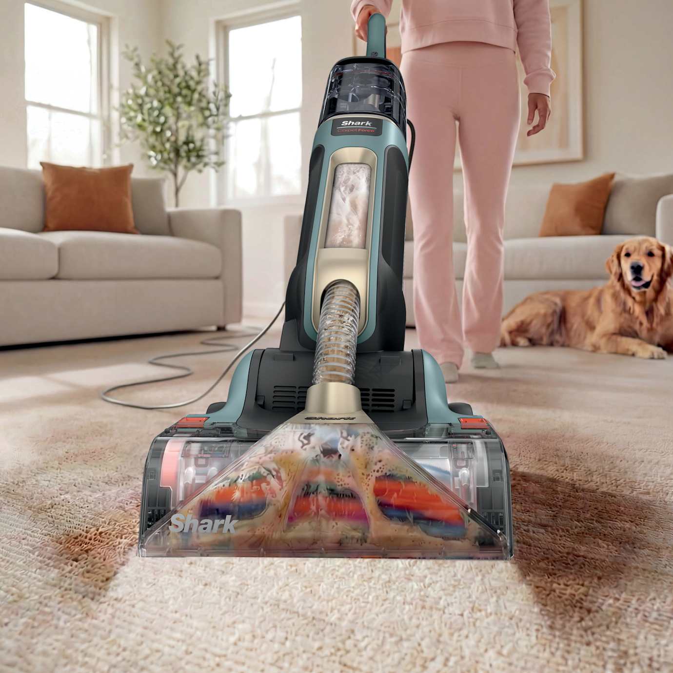Shark CarpetForce Upright Carpet Cleaner - Image 2