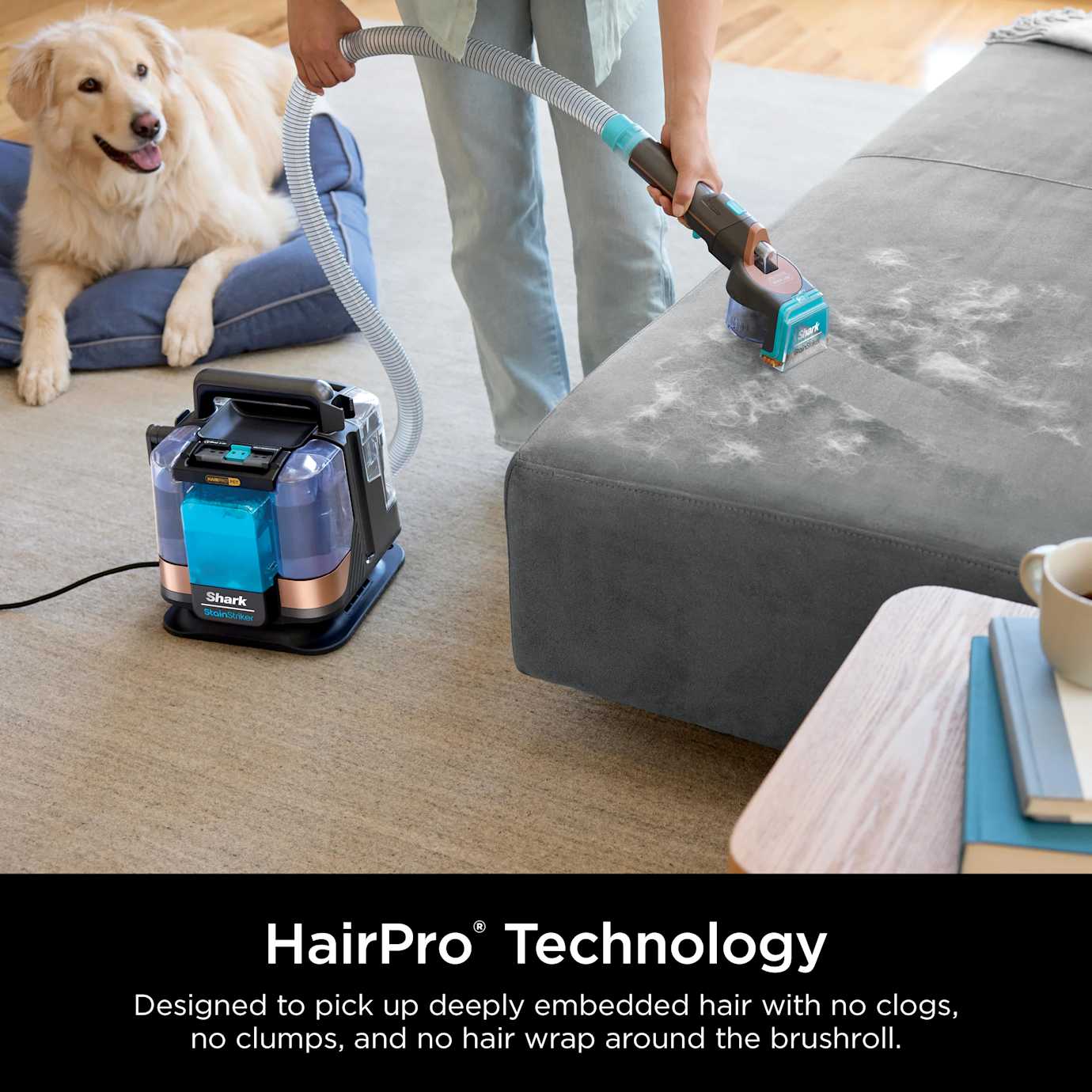 Shark-Ninja StainStriker Hairpro Pet Carpet Cleaner - Image 12