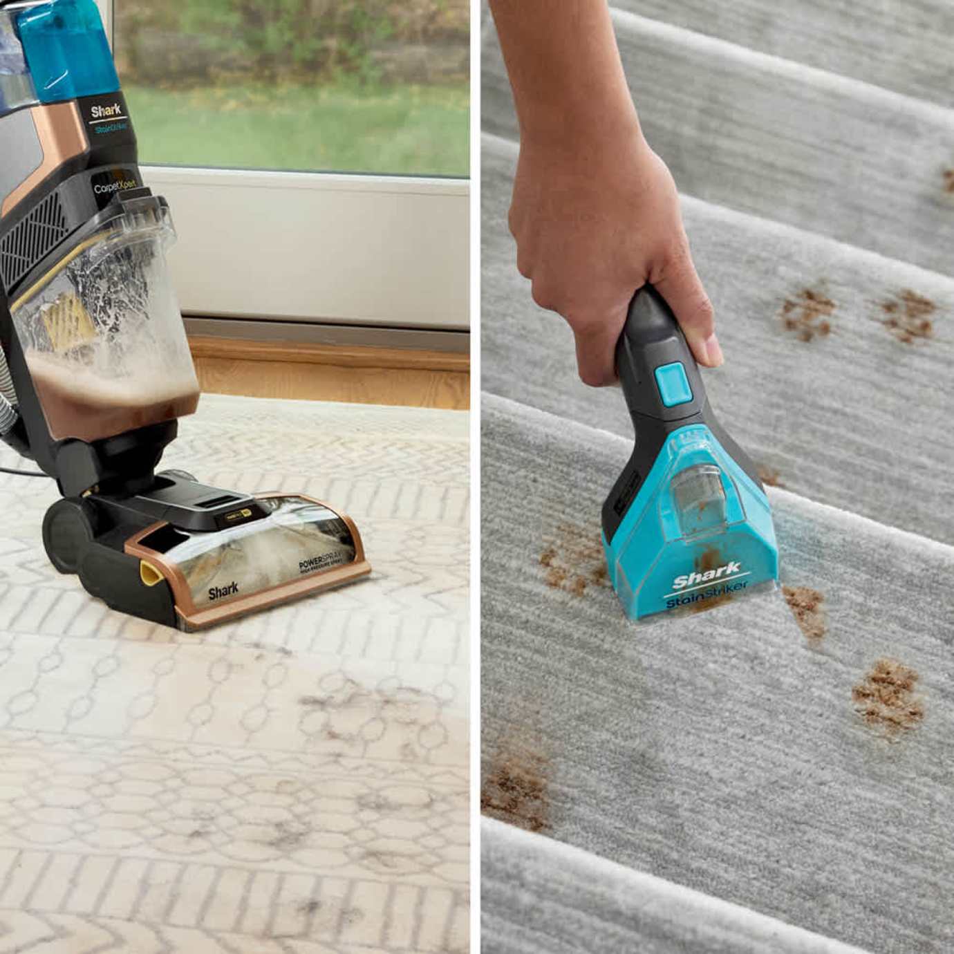 Shark-Ninja CarpetXpert HairPro Carpet Cleaner - Image 2