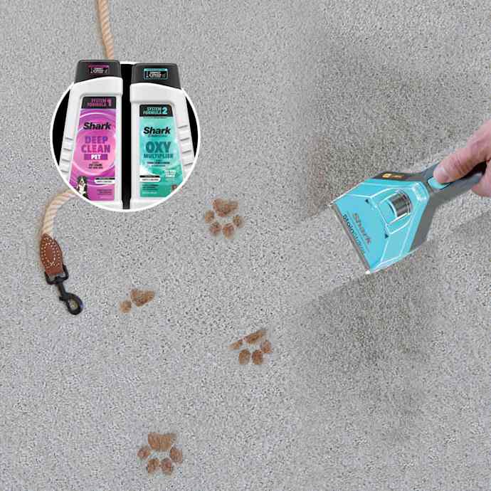 Shark-Ninja CarpetXpert HairPro Carpet Cleaner - Image 13