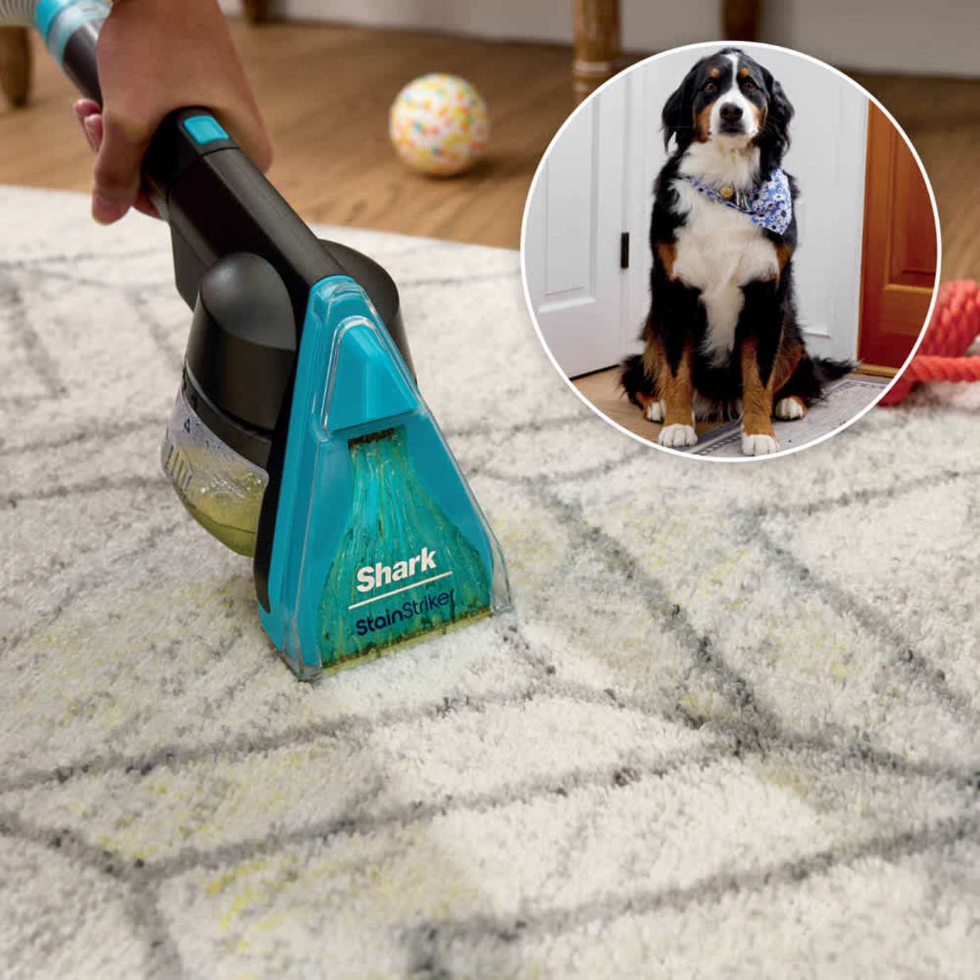Shark-Ninja CarpetXpert HairPro Carpet Cleaner - Image 5