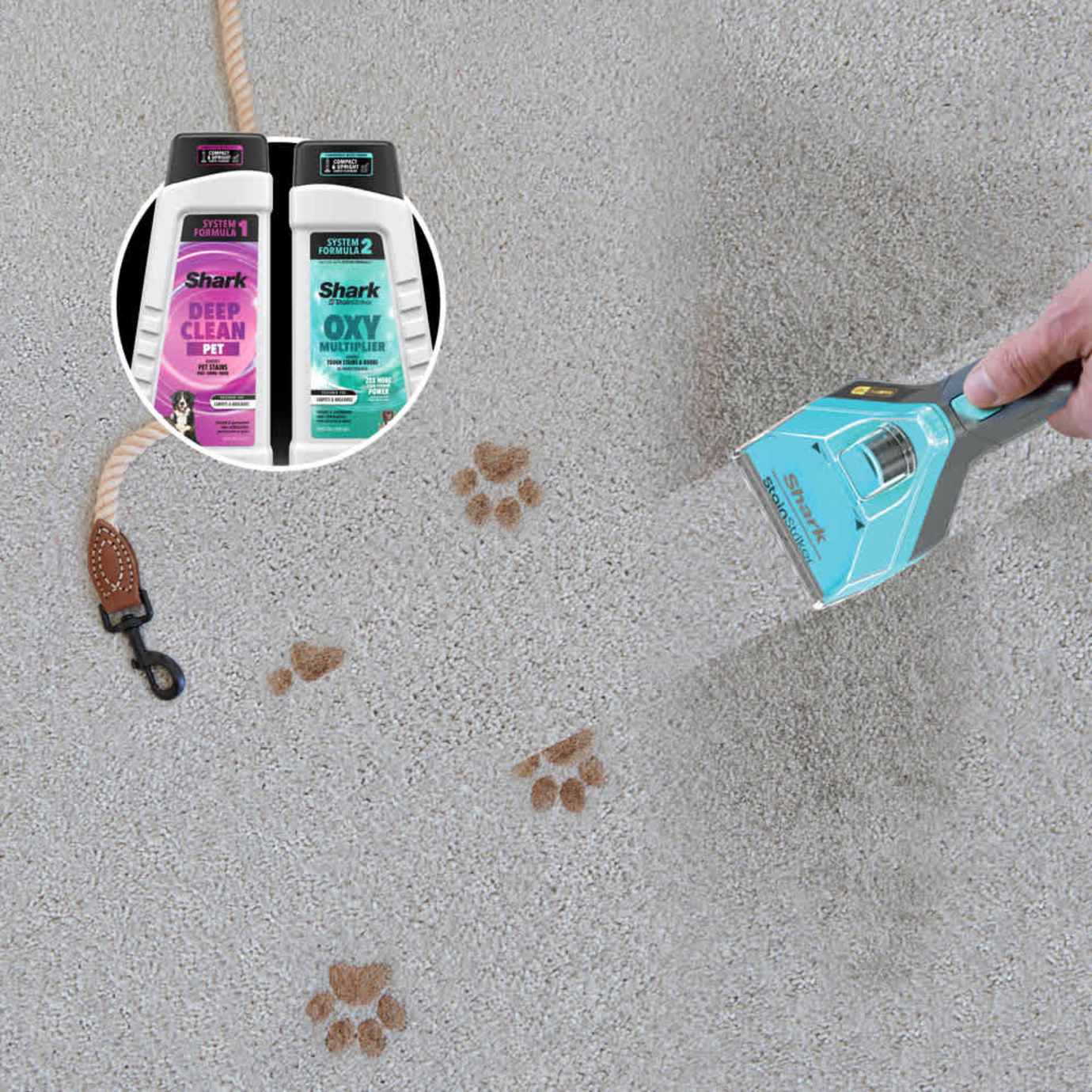 Shark-Ninja CarpetXpert HairPro Carpet Cleaner - Image 4