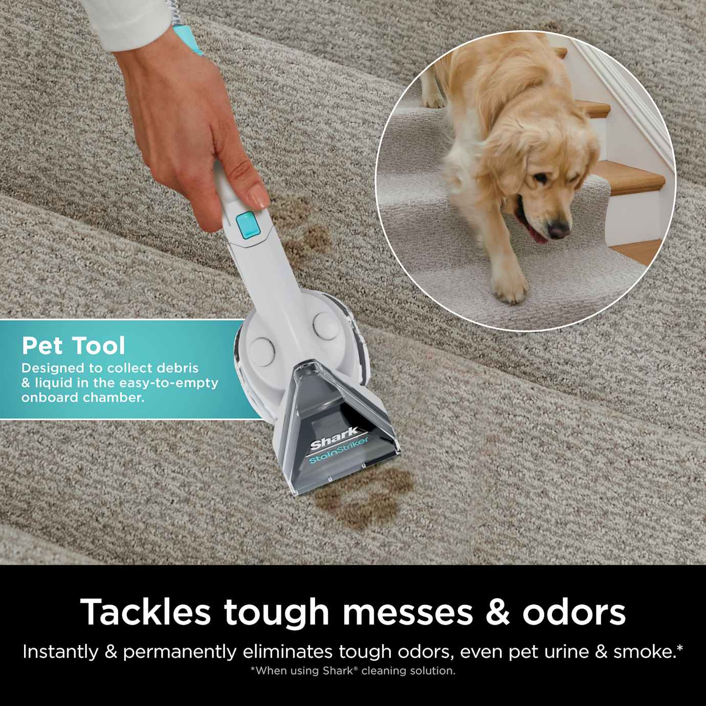Shark CarpetXpert Carpet Cleaner Deep Clean Pro Formula - Image 13