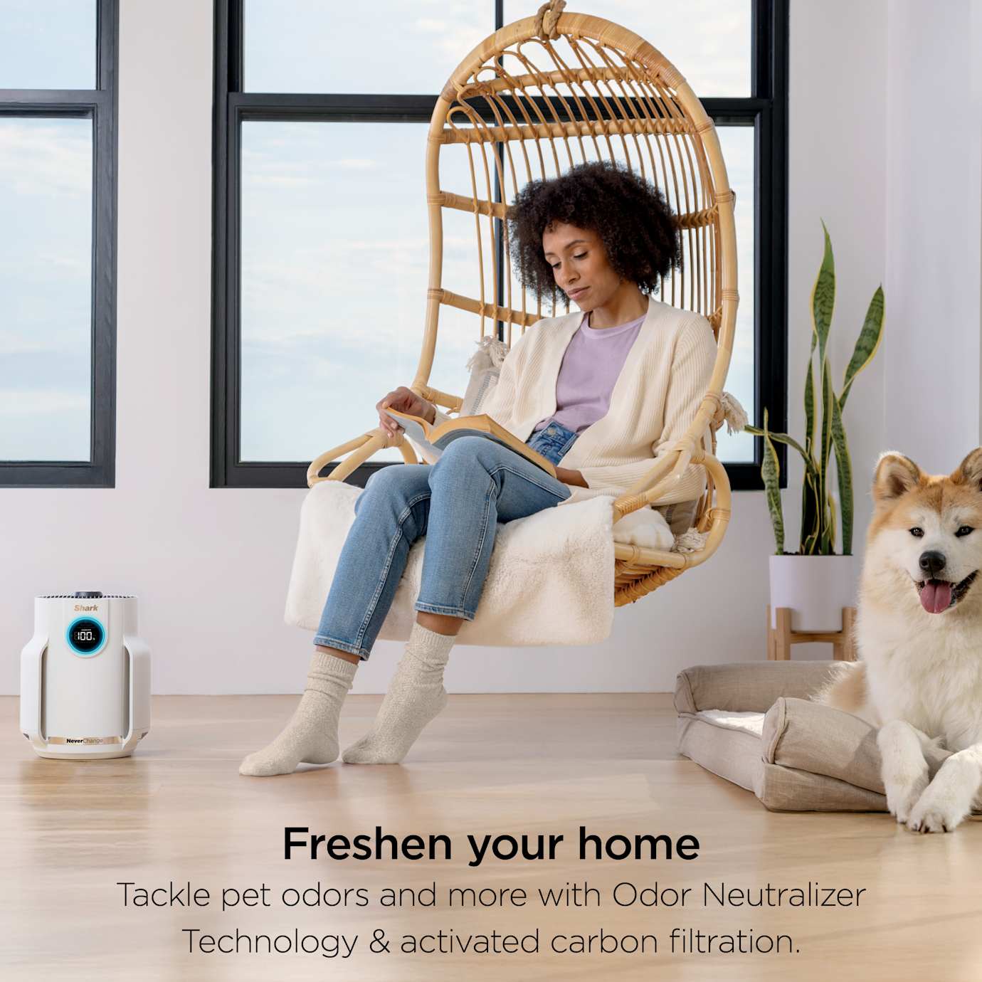 Shark NeverChange Compact Air Purifier Bundle - Image 9