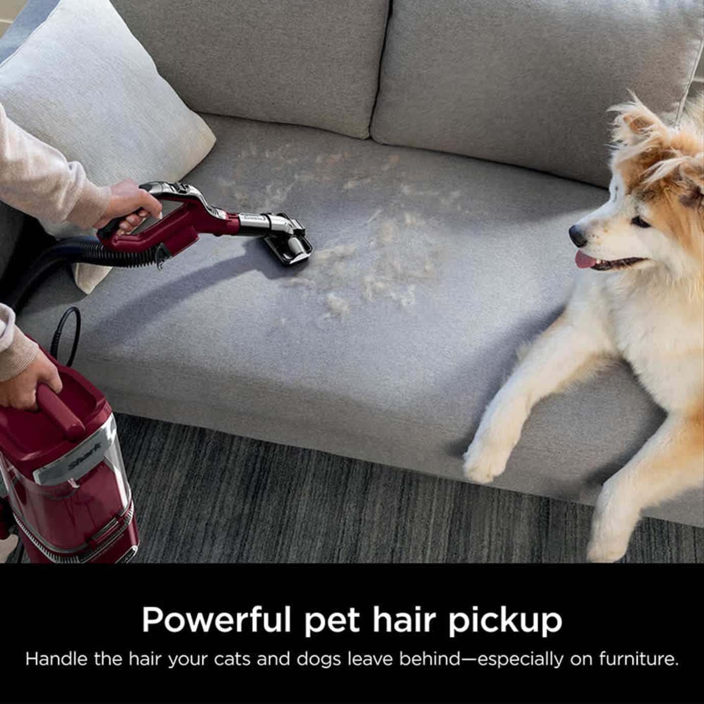 Shark-Ninja Detect Upright Vacuum - Image 15