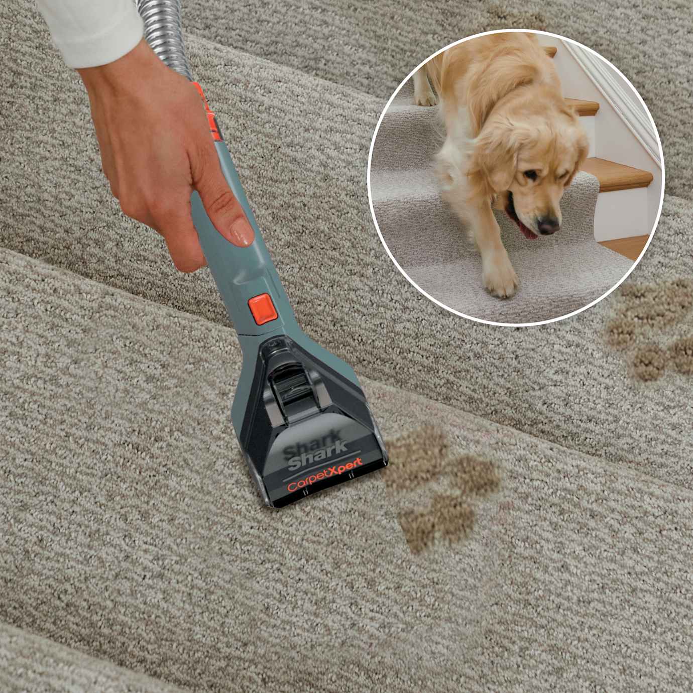 Shark-Ninja CarpetXpert Rug Cleaner - Image 5