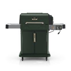 Ninja FlexFlame Grill and Smoker in Green
