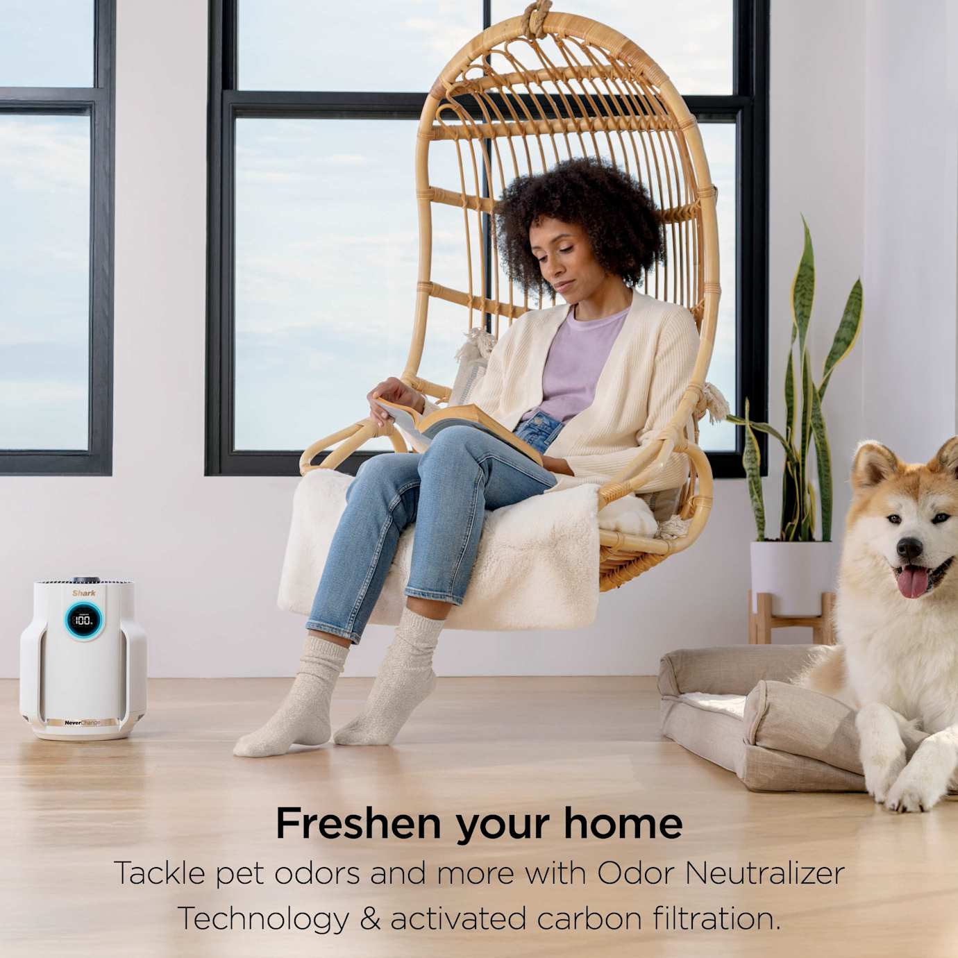Shark-Ninja NeverChange Compact Pro Air Purifier - Image 15